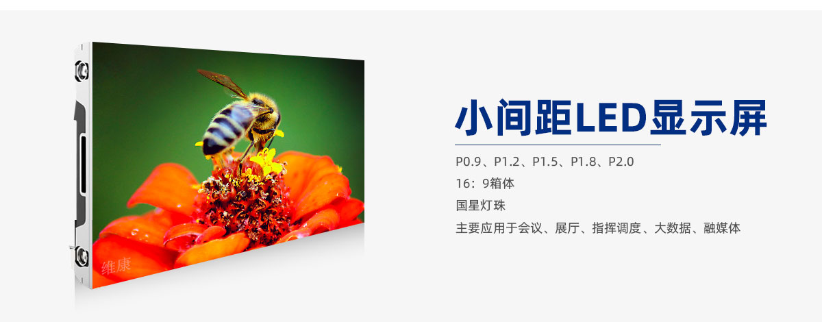 91免费视频黄片