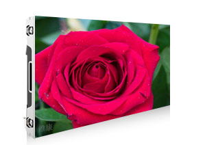 P2.091免费视频黄片