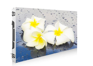 P1.591免费视频黄片